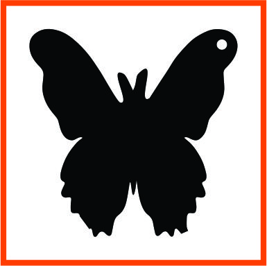 Butterfly 1